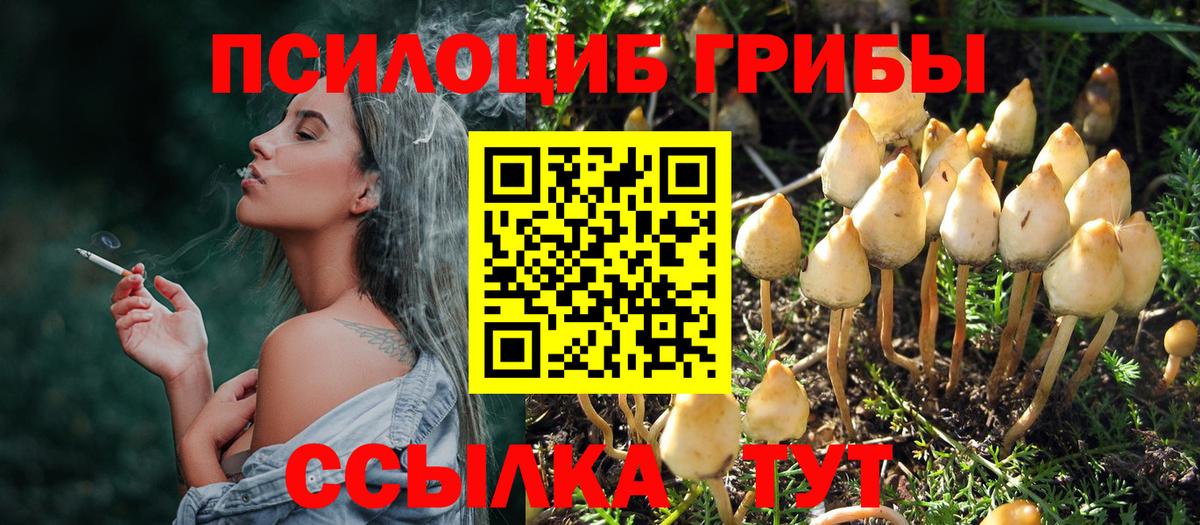 Сибай  Псилоцибиновые грибы MAGIC MUSHROOMS  как найти закладки  Вход с VPN 